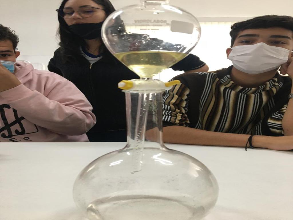 1° Ano Ensino Médio Atividade Laboratório