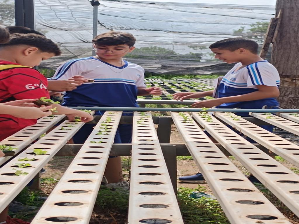 6º ano A planta o futuro: alunos vivenciam a agricultura familiar em aula de campo