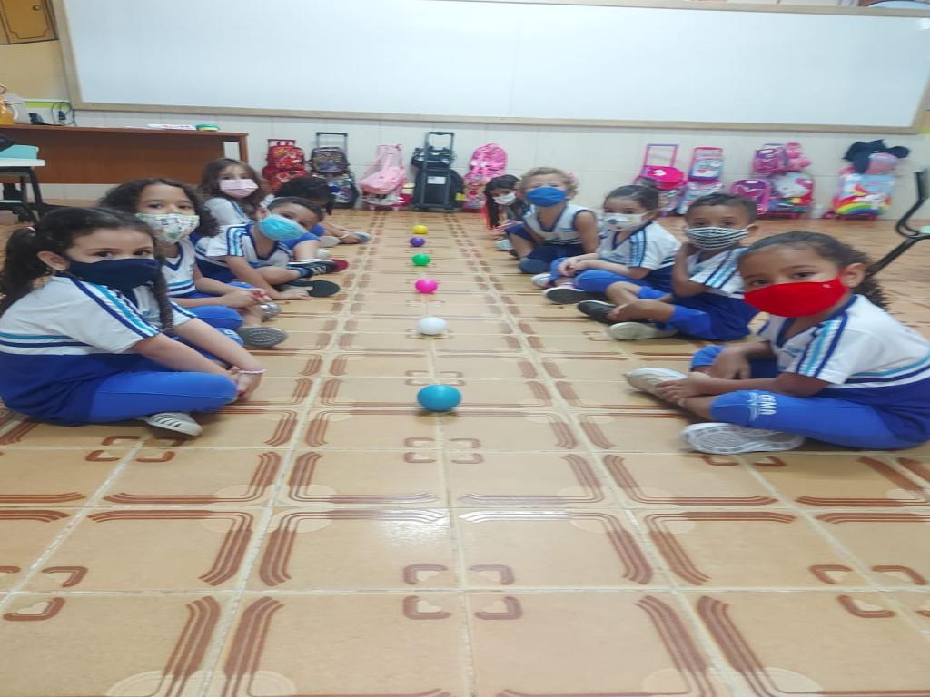 1º Ano - Ensino Fundamental